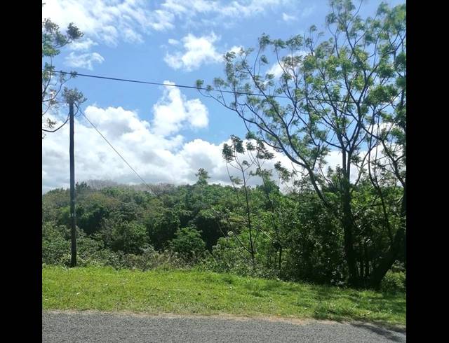 LAND FOR SALE IN DOON HEIGHTS